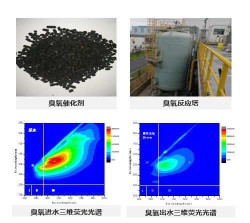 1644895203207572.png image.png