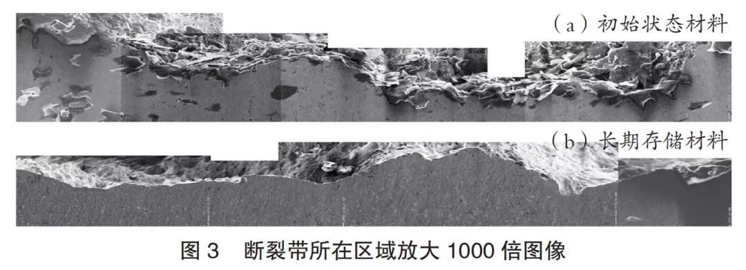 1645406932102511.png image.png