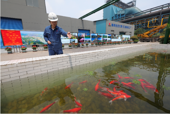 1647305372830359.png 1647305364(1).png