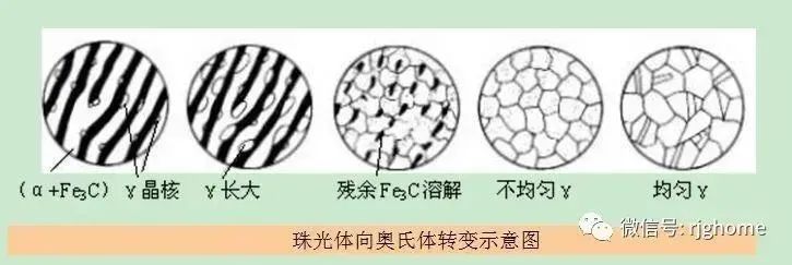 1657001713743714.jpg 9e1a0b6abfdd3103033baeb9ae09548b.jpg