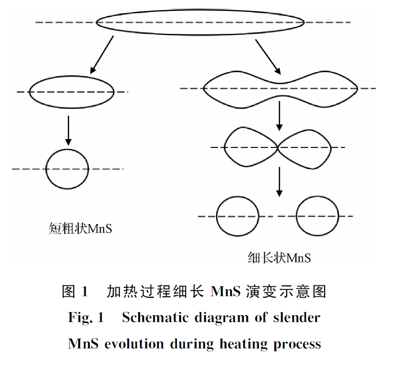 1660290666175678.png e26f47ed8a6281799bcbca1c7a2c238d.png