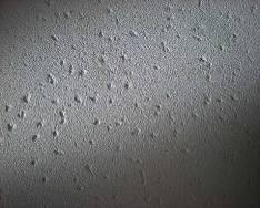 1661841797905692.png e4aa30f00c60e9f41c576bffda0b7cbb.png