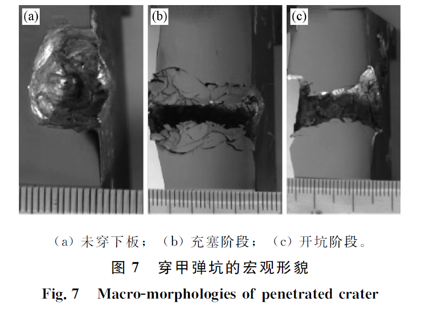 1661928560187019.png 084657bacff8f66127ae7eb4dc847c7f.png