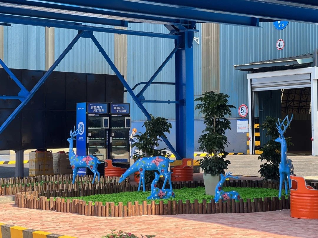 1685947548145234.jpg e56cce9a8c21ad2bcbc1da197dcac542.jpg