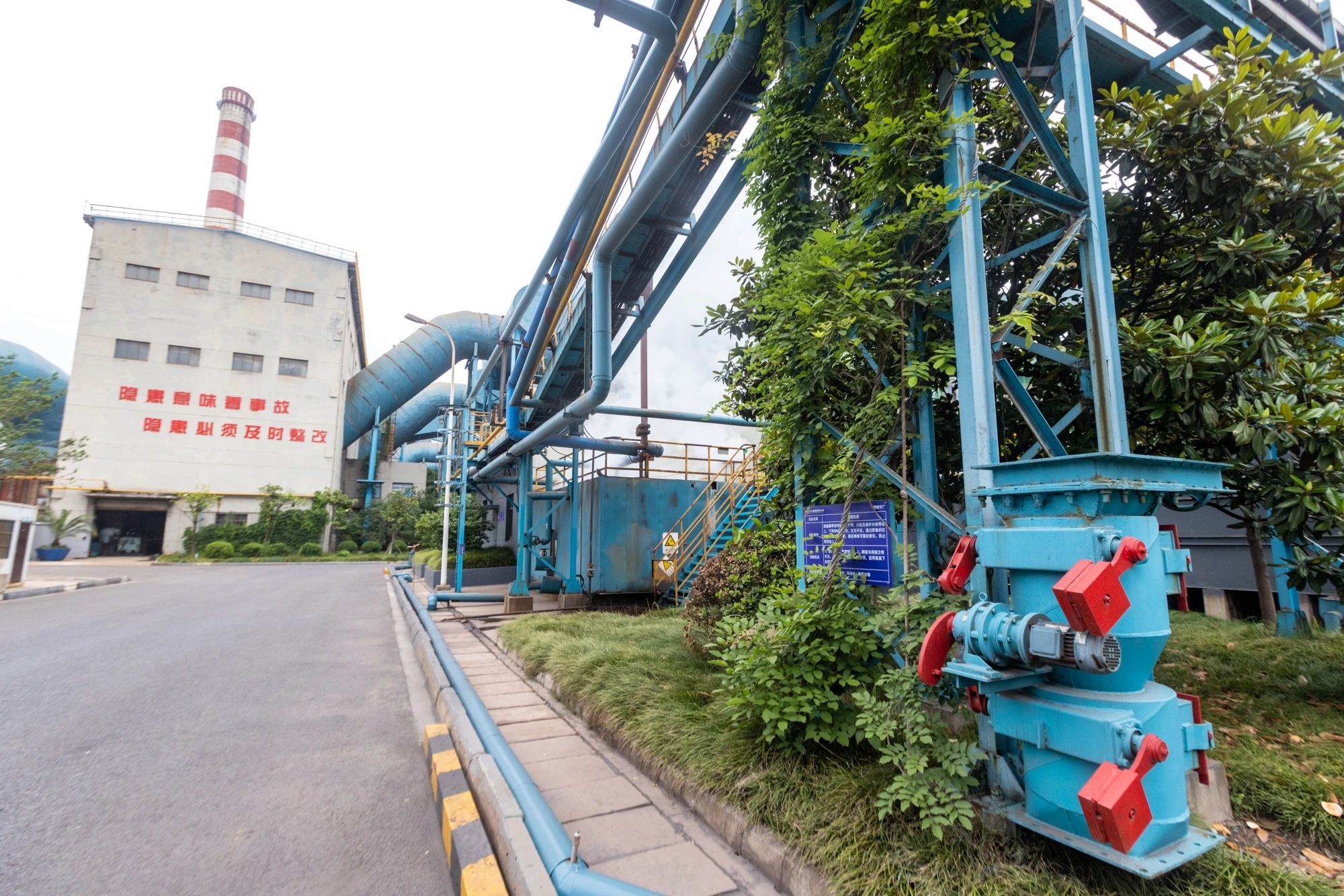 1685947874185768.jpg 6deca092c730704bbcbd1a823301643b.jpg