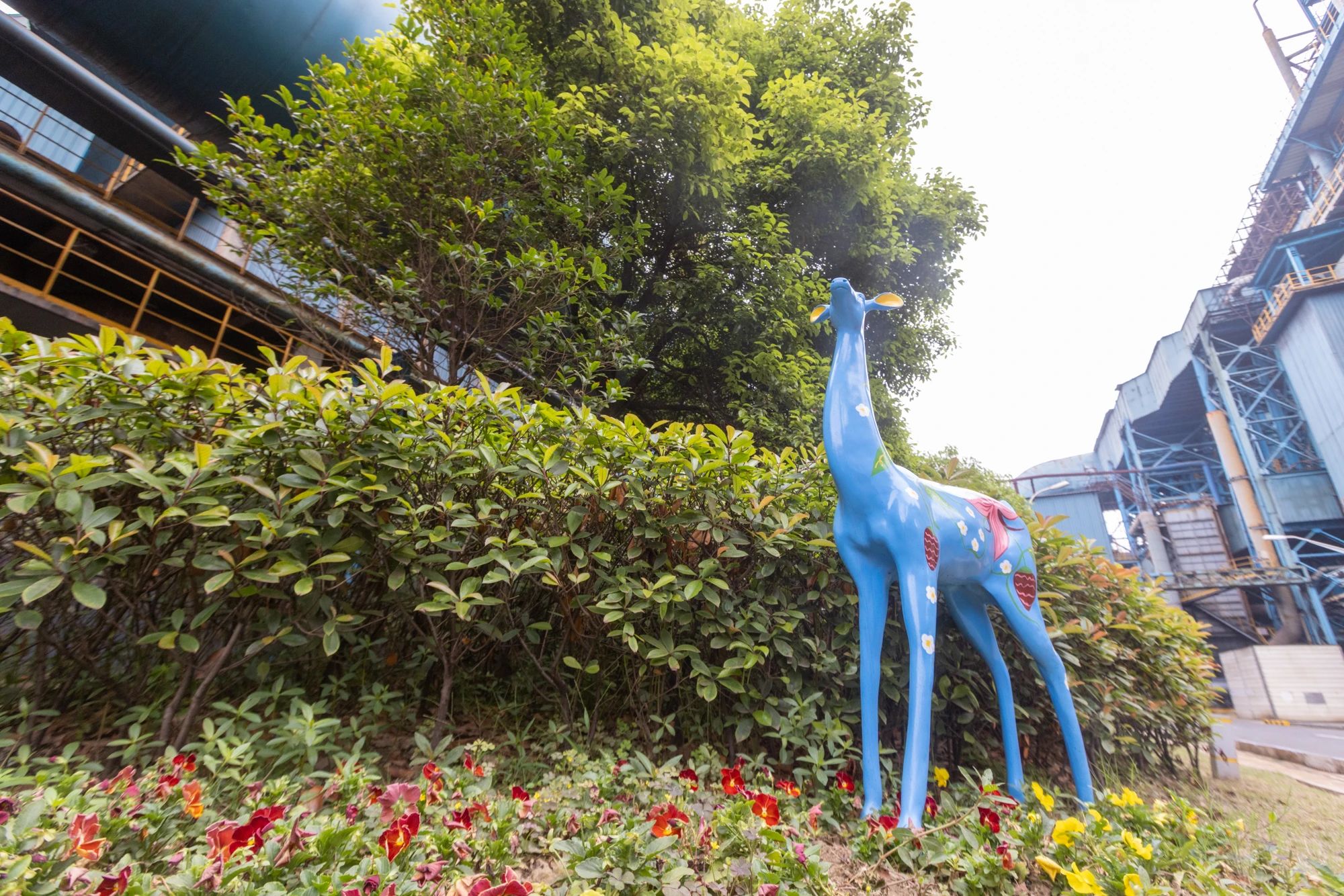 1685948344297992.jpg f704dbe005ec61f8c1681dbd7741038d.jpg