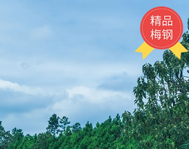 1692839223421655.png 1692839210236.png